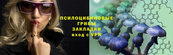 ГАЛЛЮЦИНОГЕННЫЕ ГРИБЫ Алексеевка