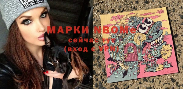 шишки Алзамай