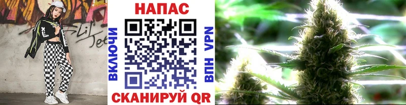 хочу   Петровск-Забайкальский  МАРИХУАНА Amnesia 